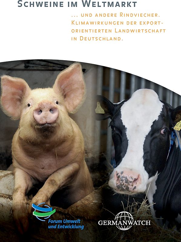 Schweine im Weltmarkt
