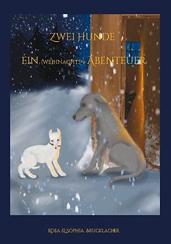 Zwei Hunde ein (weihnachts-) Abenteuer