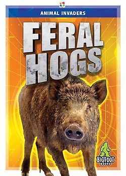 Feral Hogs