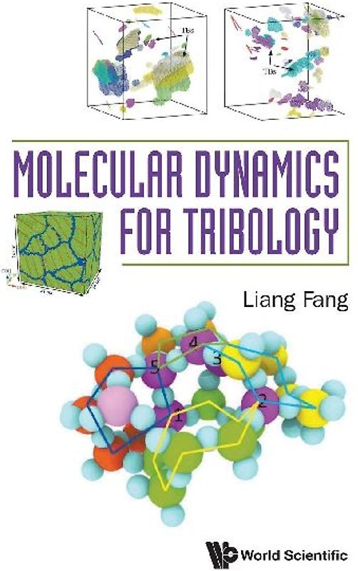 MOLECULAR DYNAMICS FOR TRIBOLOGY