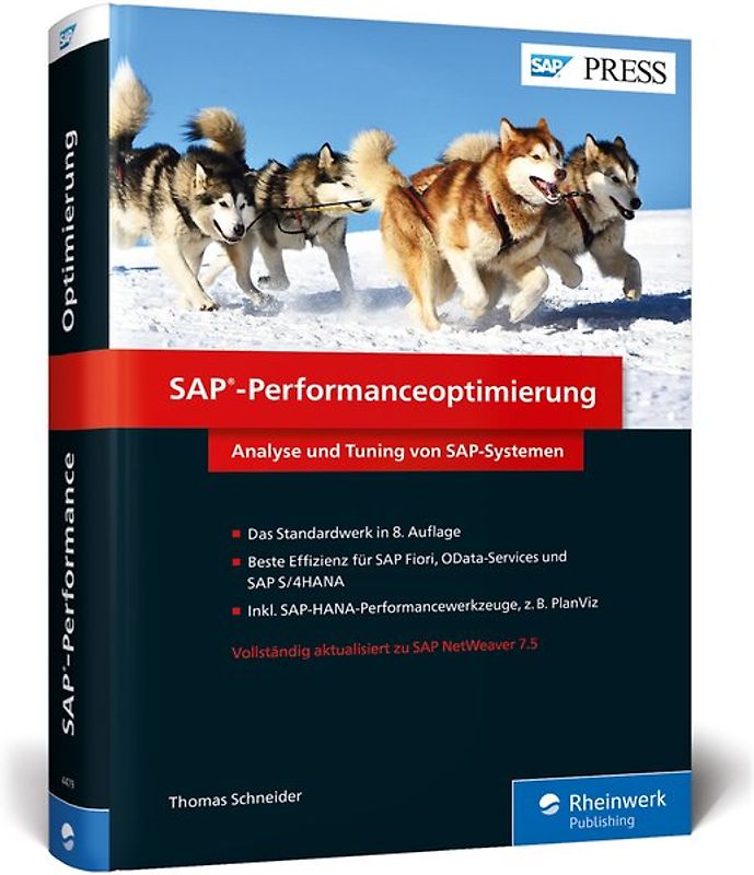 SAP-Performanceoptimierung