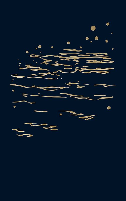 The Delicate Shoreline Beckons Us