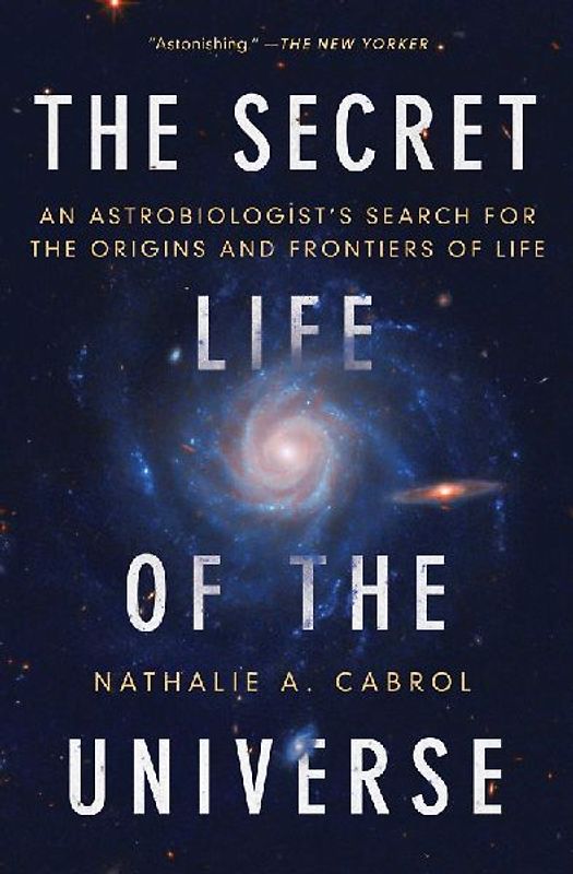 The Secret Life of the Universe