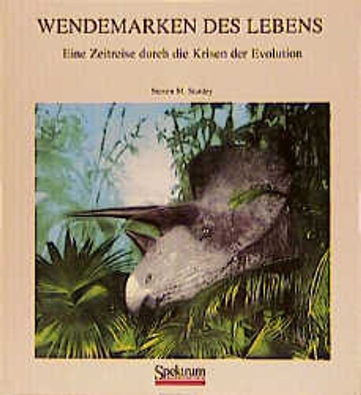 Wendemarken des Lebens
