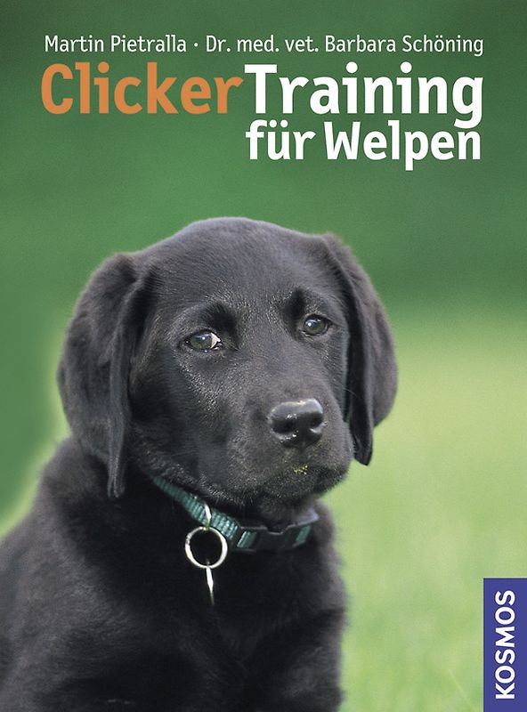 Clicker Training für Welpen