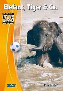 Elefant, Tiger & Co., Teil 06 (Sommer im Zoo) DVD
