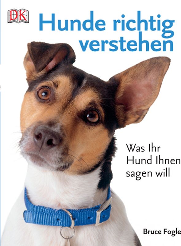 Hunde richtig verstehen