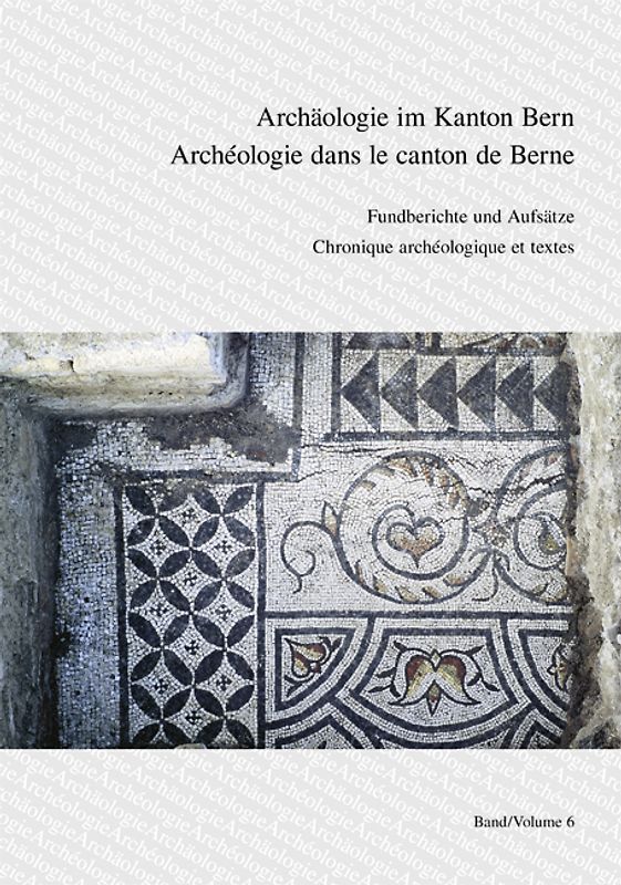 Archäologie im Kanton Bern. Band 6 /A u. B: Fundberichte und Aufsätze