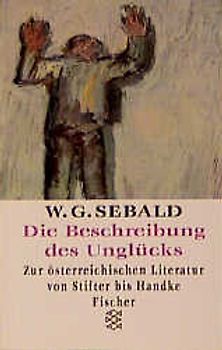 Die Beschreibung des Unglücks