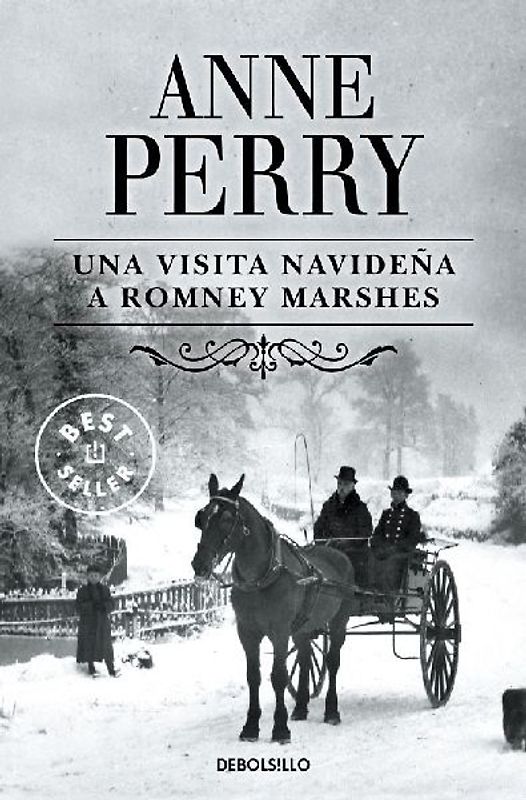 Una visita navideña a Romney Marshes
