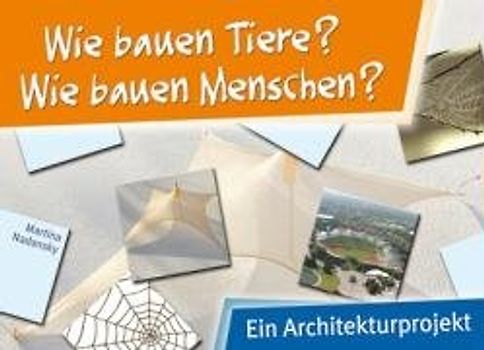 Wie bauen Tiere? Wie bauen Menschen?
