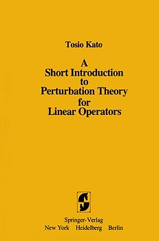 A Short Introduction to Perturbation Theory for Linear Operators