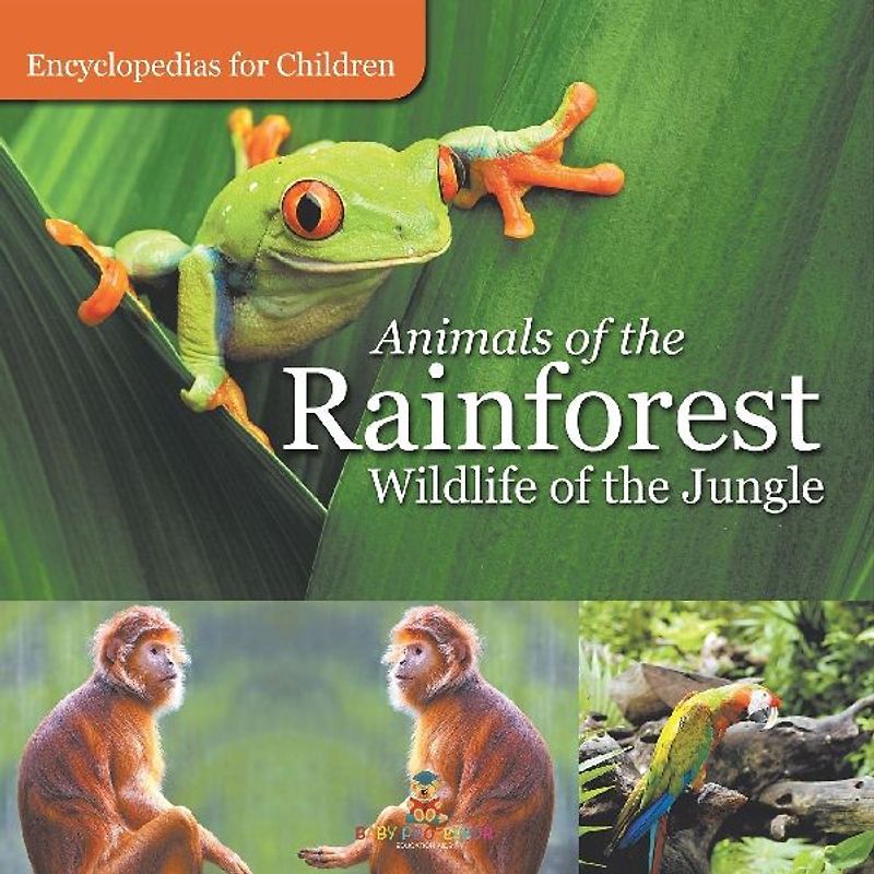 Animals of the Rainforest | Wildlife of the Jungle | Encyclopedias for Children