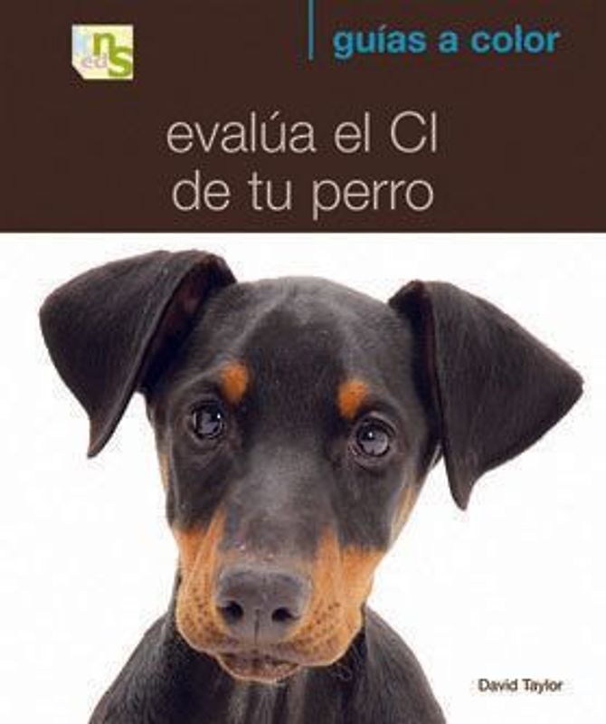 Evalúa el CI de tu perro : ¿cómo es de listo tu perro?
