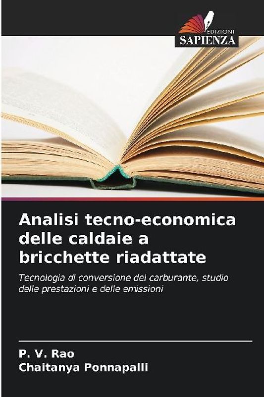 Analisi tecno-economica delle caldaie a bricchette riadattate
