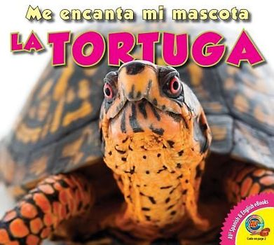 La Tortuga