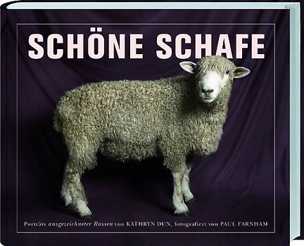 Schöne Schafe