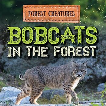 Bobcats in the Forest (Forest Creatures)