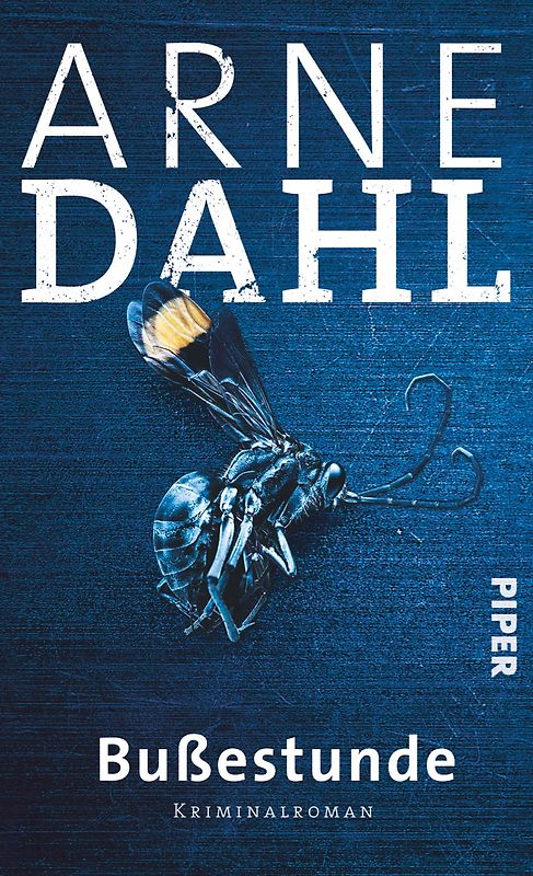 Bußestunde. Kriminalroman