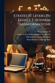 Strategic Levers to Enable E-business Transformations