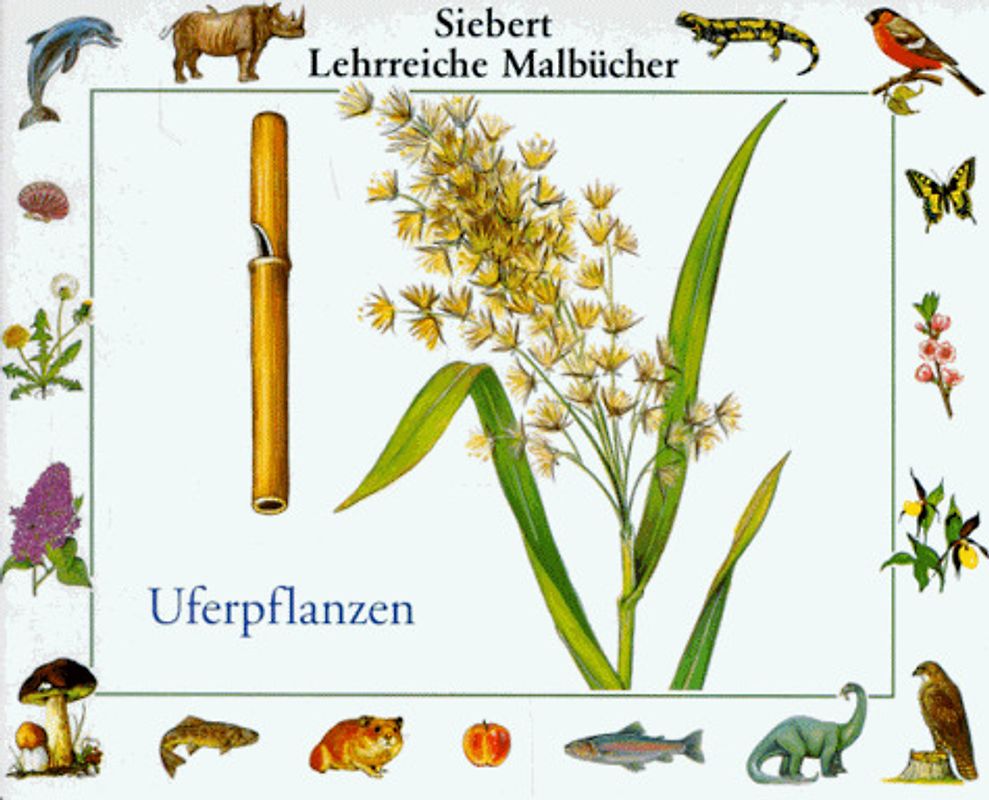 Uferpflanzen