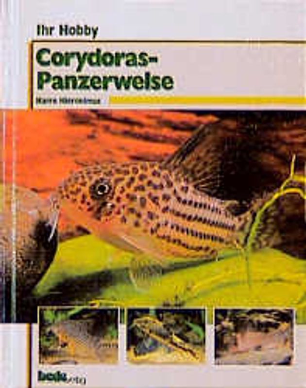 Ihr Hobby Corydoras - Panzerwelse