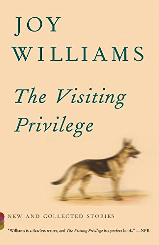 The Visiting Privilege: New and Collected Stories (Vintage Contemporaries)