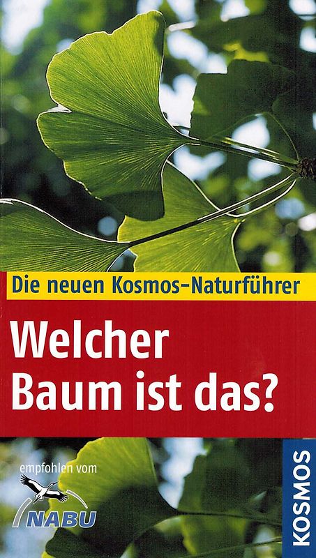 Welcher Baum ist das?