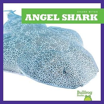 Angel Shark