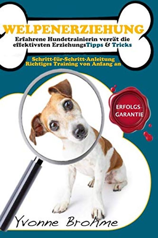 Welpenerziehung: Erfahrene Hundetrainerin verrät die effektivsten ErziehungsTipps & Tricks