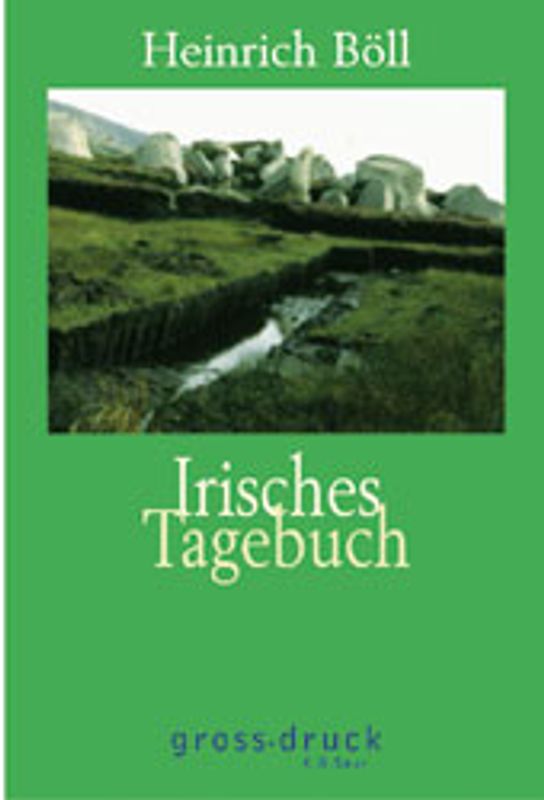 Irisches Tagebuch