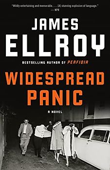 Widespread Panic: A novel