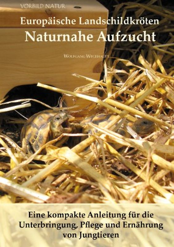 Europäische Landschildkröten Naturnahe Aufzucht
