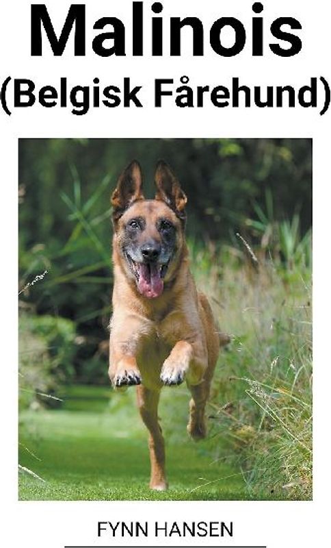 Malinois (Belgisk Fårehund)