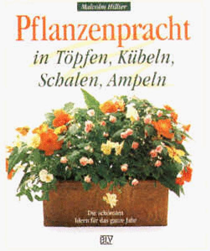 Pflanzenpracht in Töpfen, Kübeln, Schalen, Ampeln. Die schönsten Ideen für das ganze Jahr
