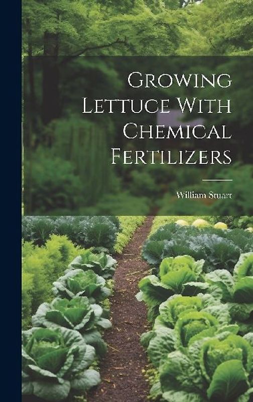 Growing Lettuce With Chemical Fertilizers