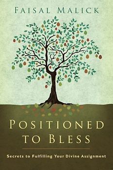 Positioned to Bless: Secrets to Fulfilling Your Divine Assignment