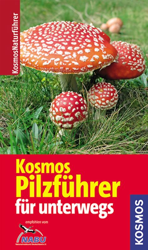 Kosmos Pilzführer für unterwegs