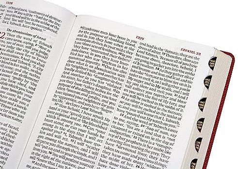 Lsb Giant Print Reference Edition, Paste-Down Burgundy Faux Leather Indexed