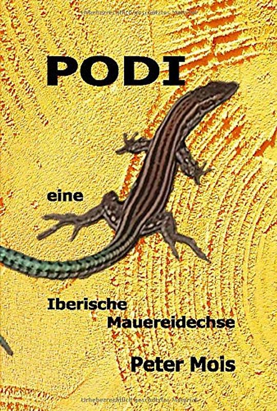 P O D I: Eine Iberische Mauereidechse