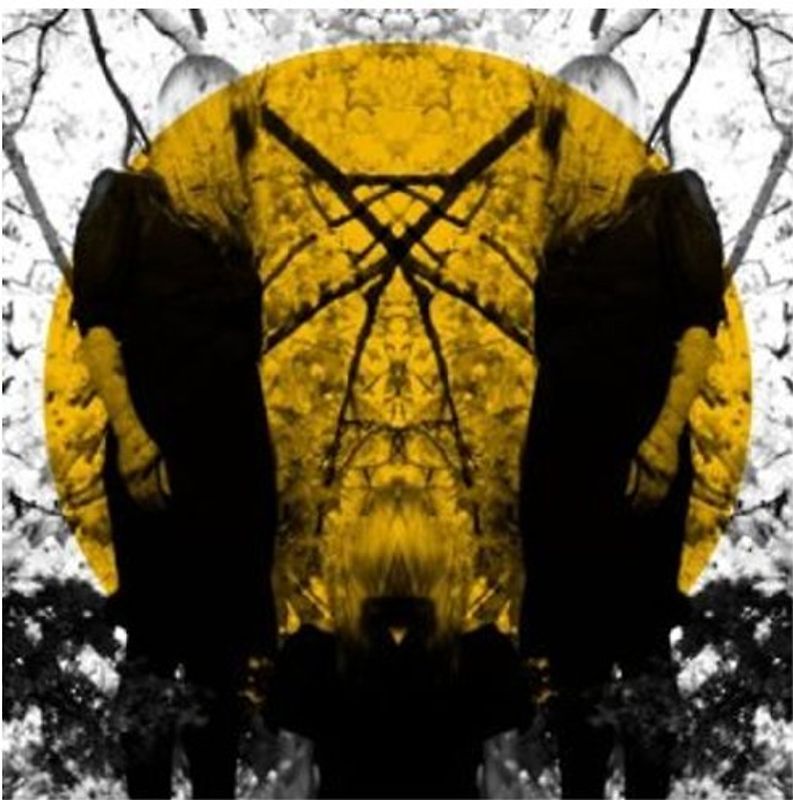 Austra - Feel It Break