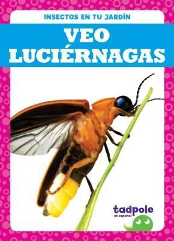 Veo Luciérnagas (I See Fireflies)