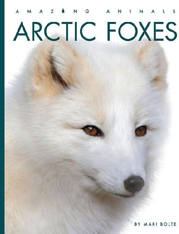 Arctic Foxes