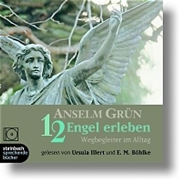 12 Engel erleben - Wegbegleiter im Alltag