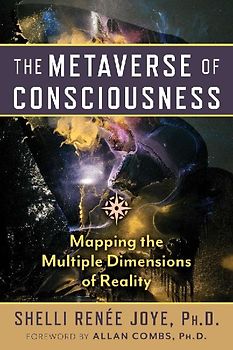 The Metaverse of Consciousness
