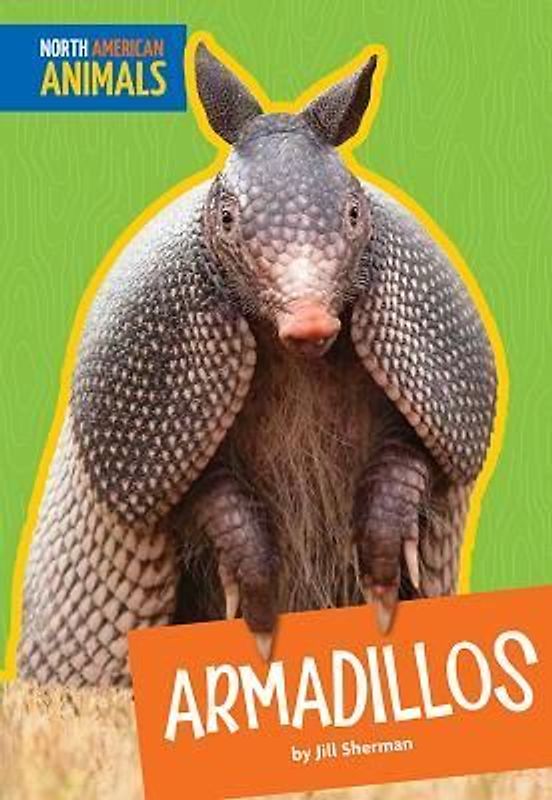 Armadillos