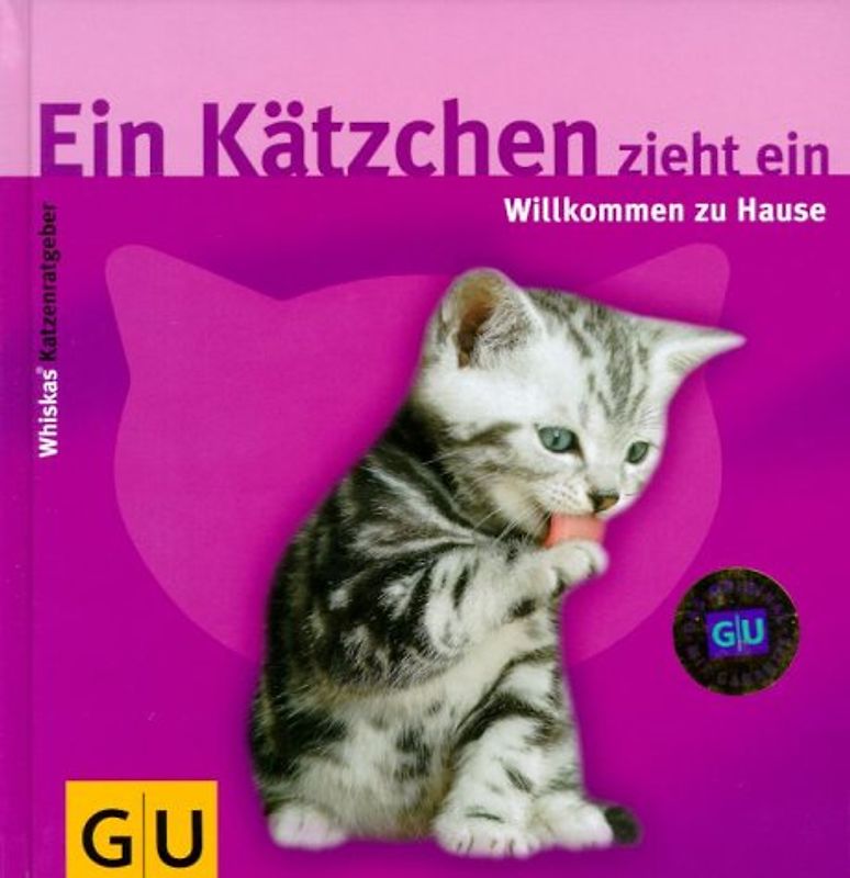 Ein Kätzchen zieht ein