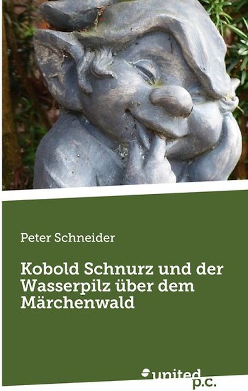 Kobold Schnurz und der Wasserpilz über dem Märchenwald
