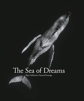 The Sea of Dreams