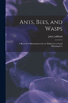 Ants, Bees, and Wasps